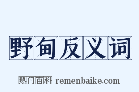野甸反义词是什么意思的图片